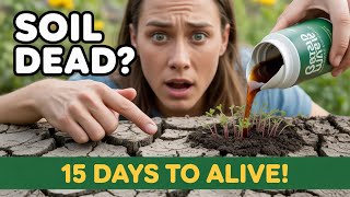 Forget Compost, This Makes Dead Soil ALIVE in 15 Days – No Fertilizer Can Beat This!