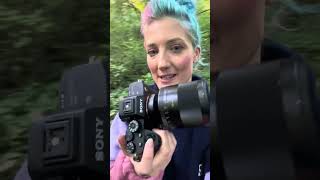 Testing a Canon R6 against my Sony a7riv