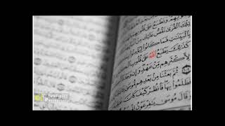 سورة المسد عبدالله خياط