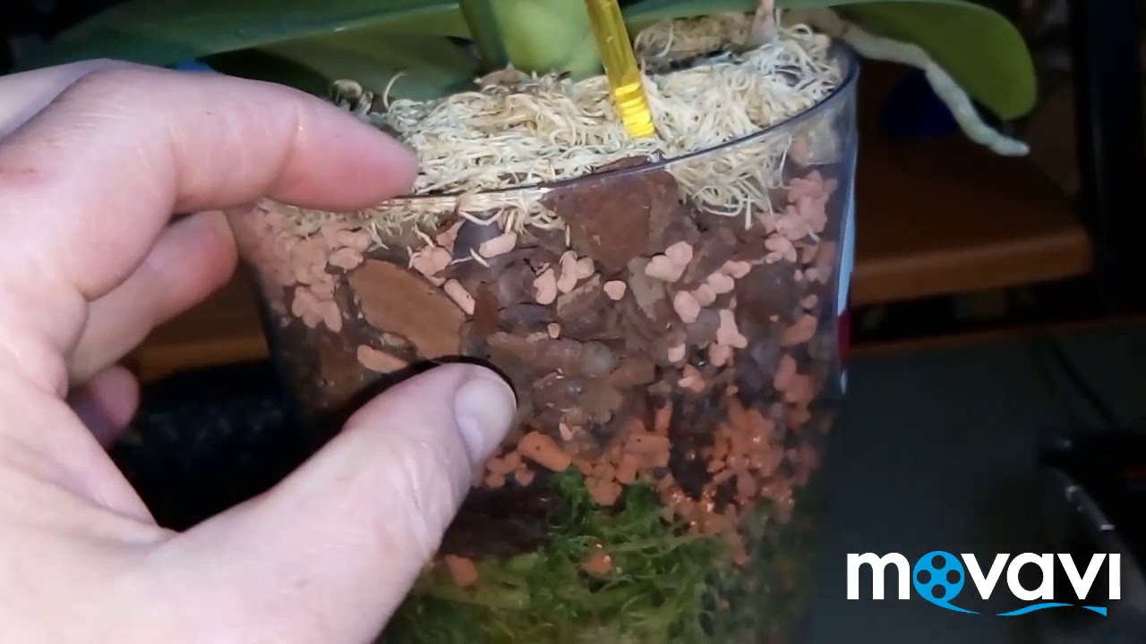 Правильная посадка