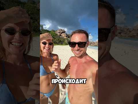 Сколько стоит отдых на Сейшелах. #сейшелы #путешествия