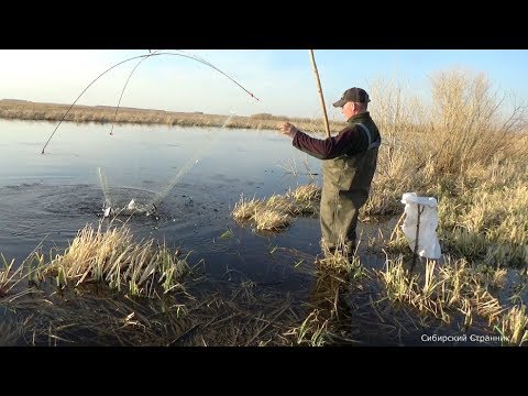 Утопили Квадрик. Наловили рыбы. Давно у меня не было такой рыбалки.