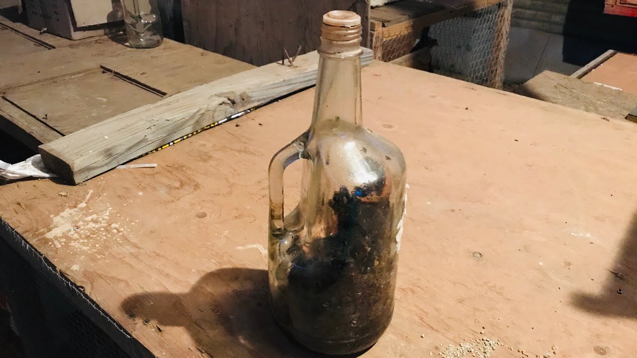 Como endurecer los gallos y las vitaminas