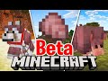 ARMADILLO e ARMATURA DA LUPO - Minecraft ITA 1.21 Bedrock Beta