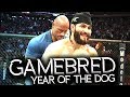 Jorge Masvidal - The Year of the Dog