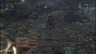 Shadows of Yharnam BL4 NG+6 No Roll/Dash/Gems/Shaman Bone Blades (No Runes/Buffs/Parries) [Flawless]