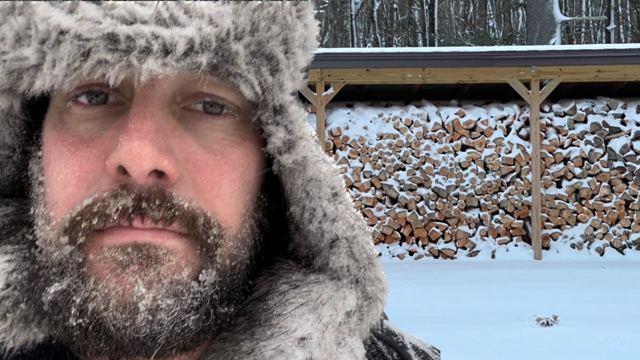 Should you STORE your FIREWOOD INDOORS?