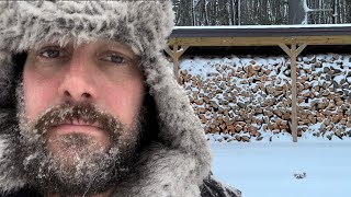 Should you STORE your FIREWOOD INDOORS?