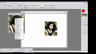 Photofiltre Tutorial #65: Mirror Image