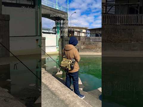 旧吉野川 バス釣り ブラックバス ポイント #shorts