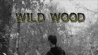 Watch Handsome Family Wild Wood video
