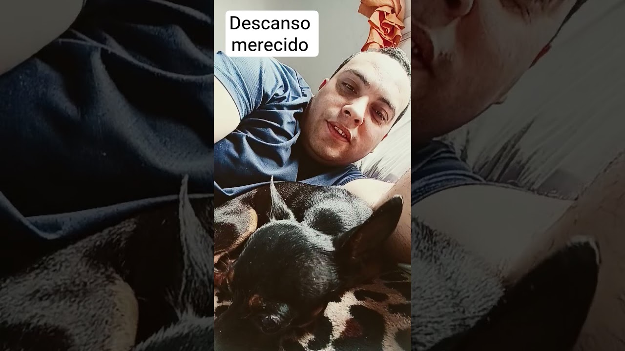 descano merecido após o almoço