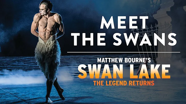 Meet the Swans