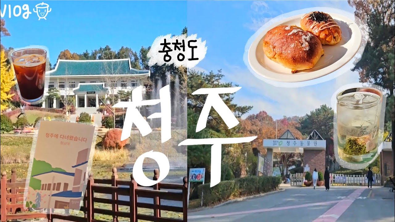 vlog. 국내여행 | 충북 청주 | 청남대 | 청주동물원 | 헤이븐
