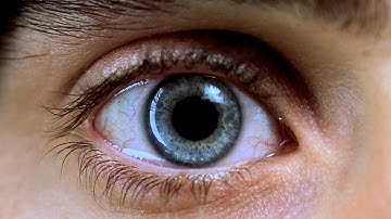 トラウマ映画の金字塔、4Kで復活！映画『レクイエム・フォー・ドリーム 4Kリマスター』本予告