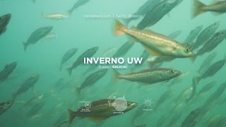 INVERNO UW | Galicia | Sony a6300
