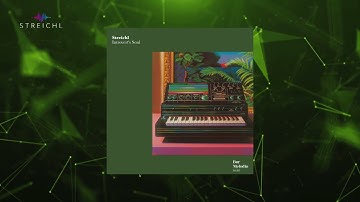 Streichl - Introvert