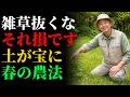 【自然農の春】雑草を抜くのは損！草マルチと緑肥で土を“宝”に変える方法 | 雑草対策