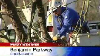 Downed Tree Blocks Busy Road