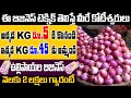 How To Start Onion And Garlic Business | Self Employment Business Ideas | Cine Factory