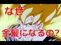 【衝撃】ドラゴンボールの知られざる都市伝説7選【ヒミツノトビラ】