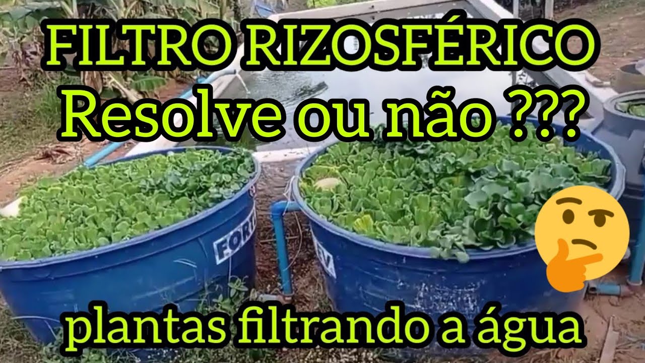 Filtro Rizosférico para criação de Peixes