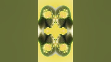 Do We Really Use Only 10% of Our Brain? 🧠