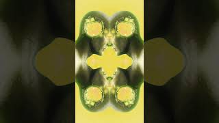 Do We Really Use Only 10% of Our Brain? 🧠