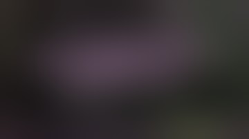 How To Install MW3 Plutonium in 2020! w/ Controller Settings! (IW5 Plutonium)