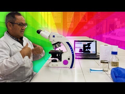 Video: ¿Cuáles son los usos del microscopio compuesto?