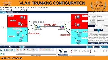 CCNA LAB 8 : Configuring VLANS and Trunking  in Cisco Packet Tracer  | VLAN  Trunking 802.1q .