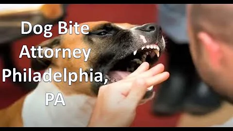 Experienced Dog Bite attorney in Philadelphia, PA ...