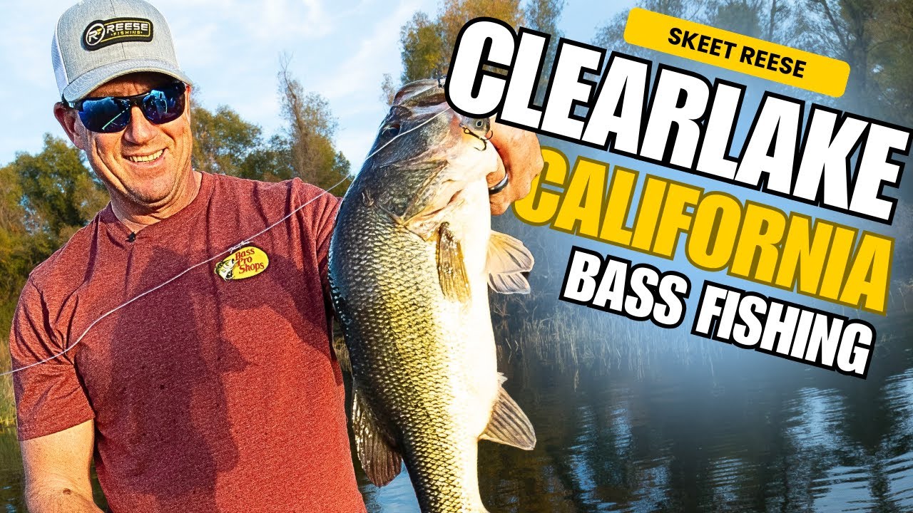 Clearlake Big Bass Fishing Highlights