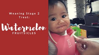 Baby Eats Fruitsicles at 8 Months | Watermelon Fruit Popsicles | All About Bleu screenshot 2