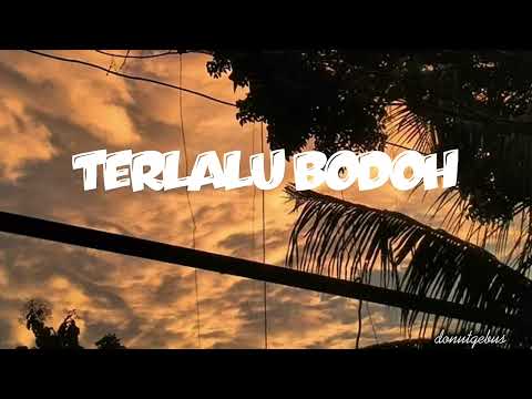 ARA JOHARI -TERLALU BODOH | LIRIK LAGU