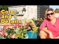 Garden Transformation | New Plants, Decor, Color &amp; Details (Part 2)