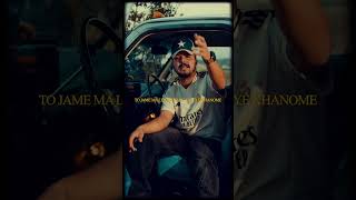 asap freestle (DHM) - amin sabegh