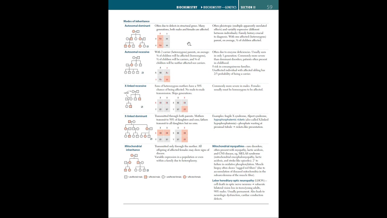 FirstAidExplained: Biochemistry E04 pg 56-61