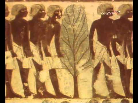 Времена и воины. Воины фараона.