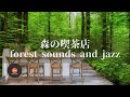 環境音+JAZZ やさしい森の喫茶店 川のせせらぎ 静かなジャズ 森の中でリラックス JAZZ CAFE - 作業用BGM