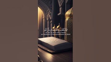 سورة الزمر {الآية 22} بصوت الشيخ ياسر الدوسري ❤️❤️