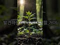 일상 속 작은 습관이 당신을 바꾸는 방법