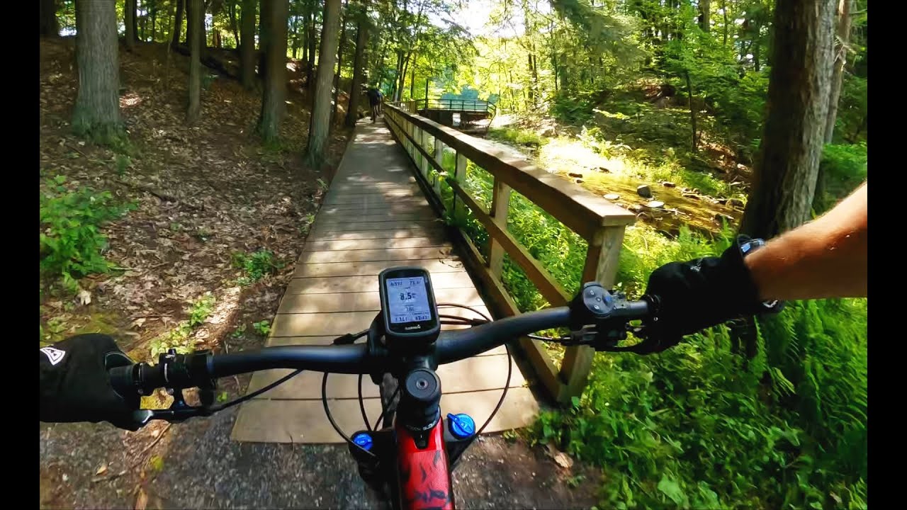 Chenango Valley State Park   Chenango Lake Trail, (short) August 2021