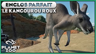 Les Kangourous Roux (Effet Canyon) | LES ENCLOS PARFAITS : EPISODE 37 | PLANET ZOO