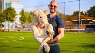 Andrew Tate At Dubai Billionaires Private Zoo