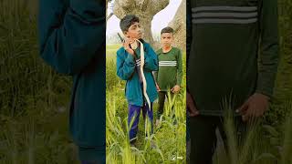 King Comedy 950A Funny Video 3