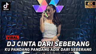Fdj Kyra Beby - DJ Cinta Dari Seberang (Ku Pandang Pandang Adik Dari Seberang) DUGEM VIRAL TIKTOK