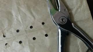 How To Preserve Onion To Avoid E Coli