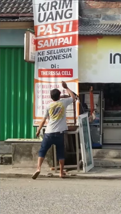 Kucing siluman