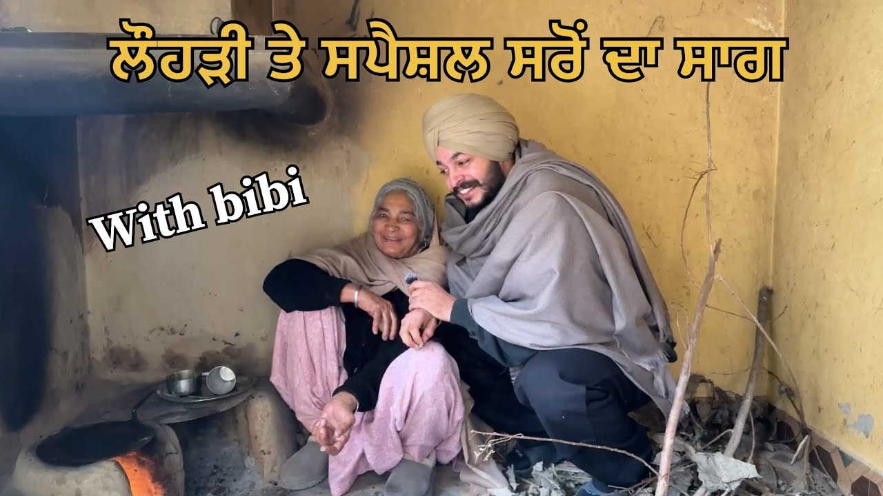 Day 1 in Punjab with bibi special vlog ❤️